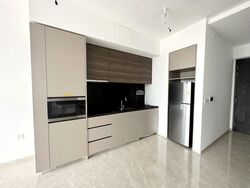 Parc Clematis (D5), Apartment #508898011
